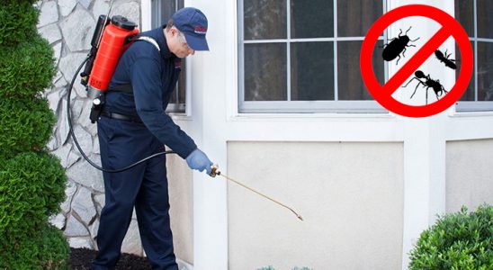 Kadıköy Bit İlaçlama böcek ilaçlama ve haşere kontrolü — ilaclama-tr.com